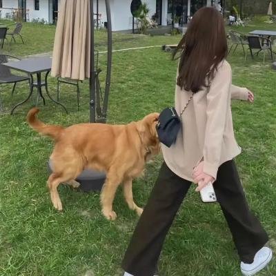 调制青少年