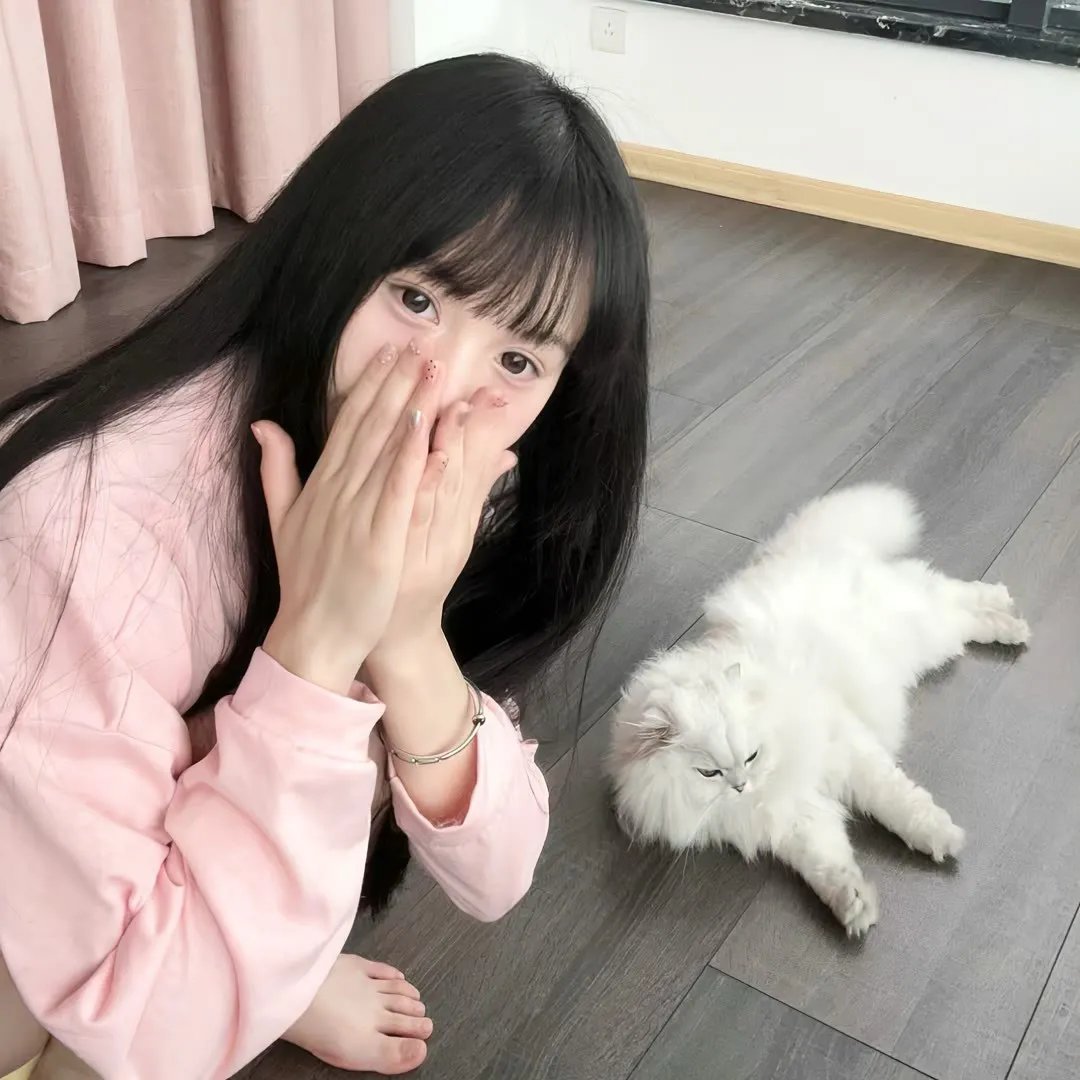 虹猫蓝兔光明剑